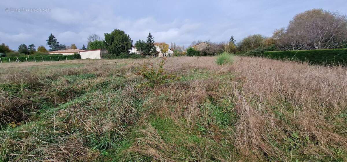 Terrain à bâtir de 2284 m² à SAINT-LEON-SUR-L'ISLE (24) - photo 2