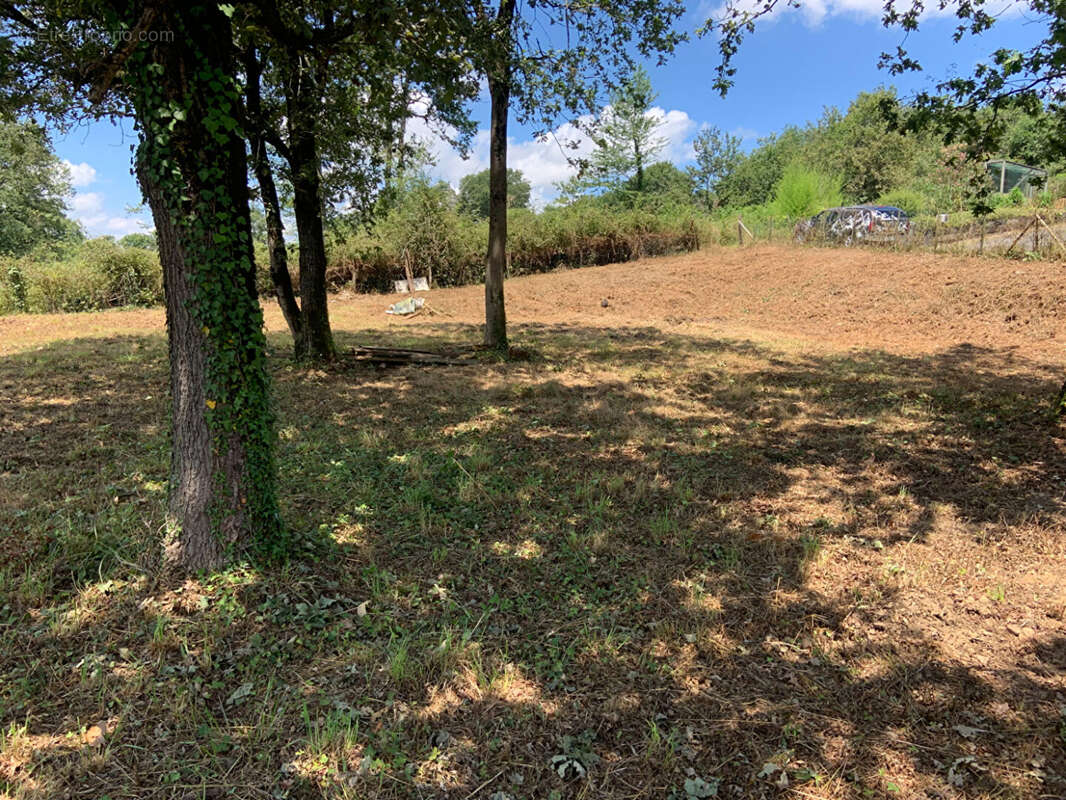 49891100a.jpg - Terrain à LABASTIDE-MONREJEAU