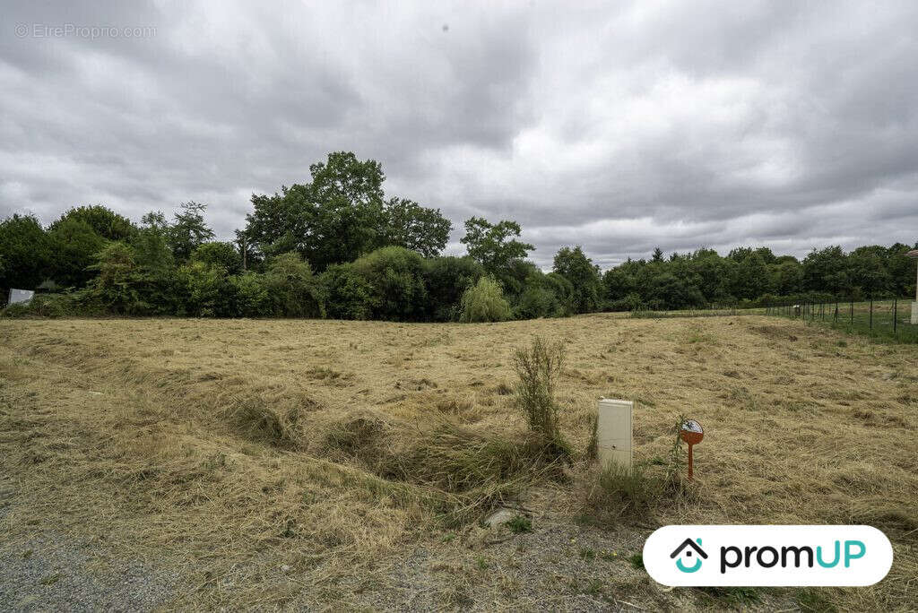 Terrain à SAINT-VICTURNIEN