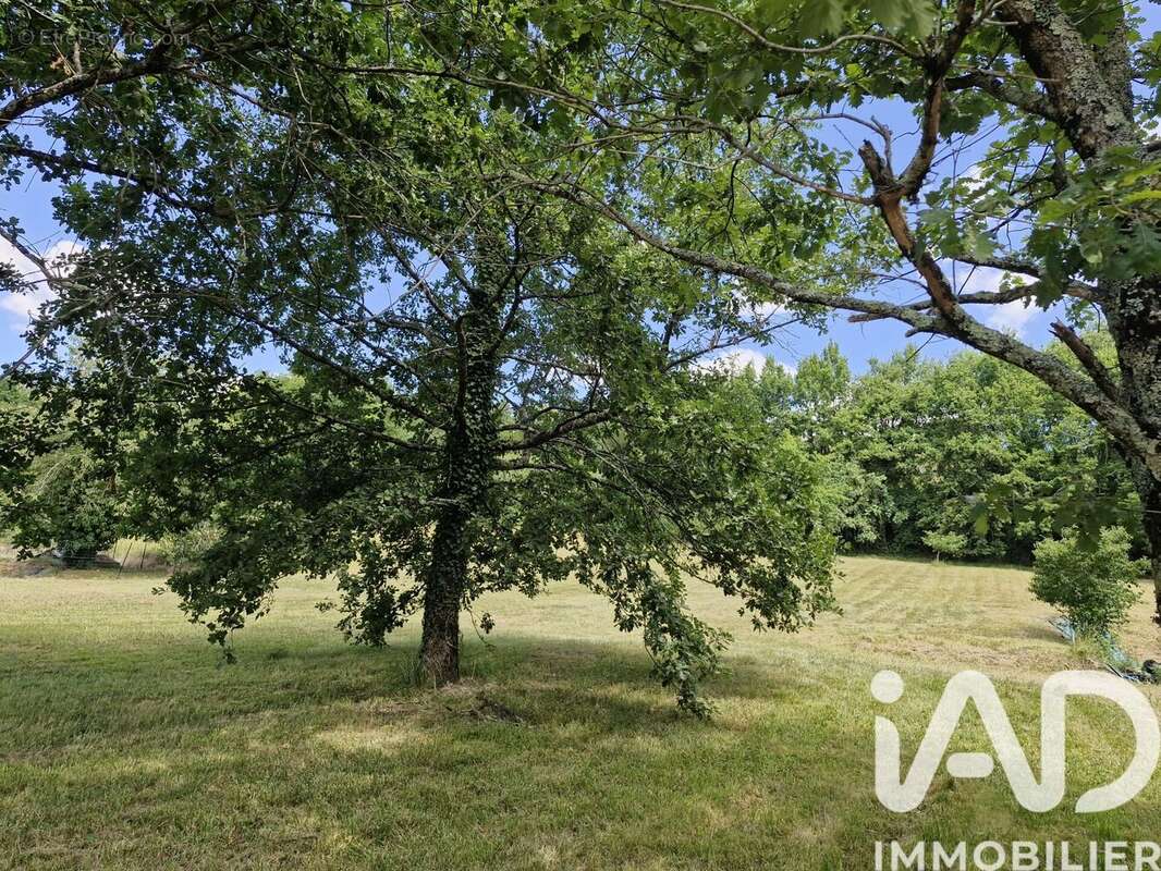 Photo 5 - Terrain à MONTCARET