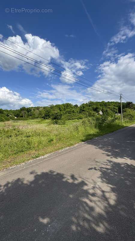 Terrain à L&#039;ISLE-SUR-SEREIN