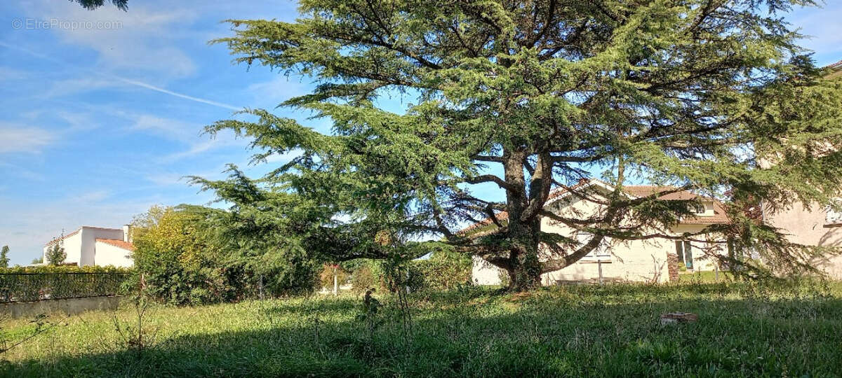 Terrain à EAUNES