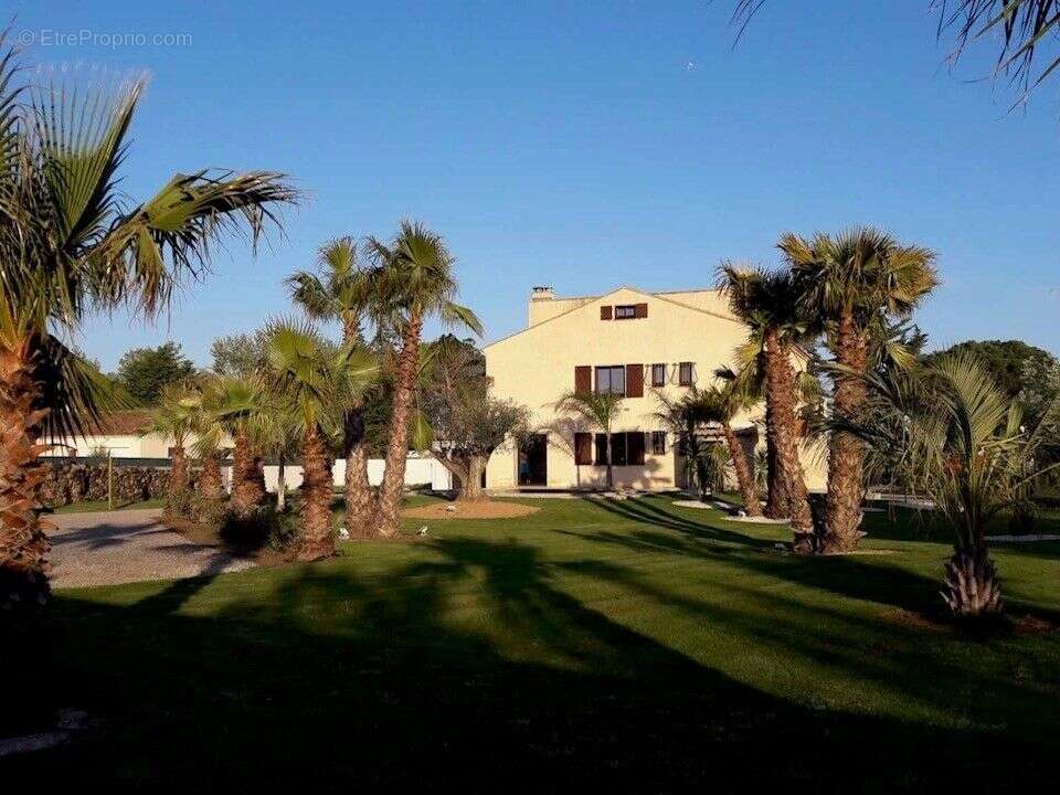 Maison à MARSEILLAN