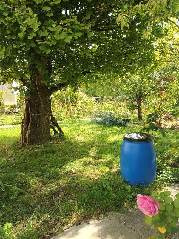 Maison à MORTAGNE-SUR-GIRONDE