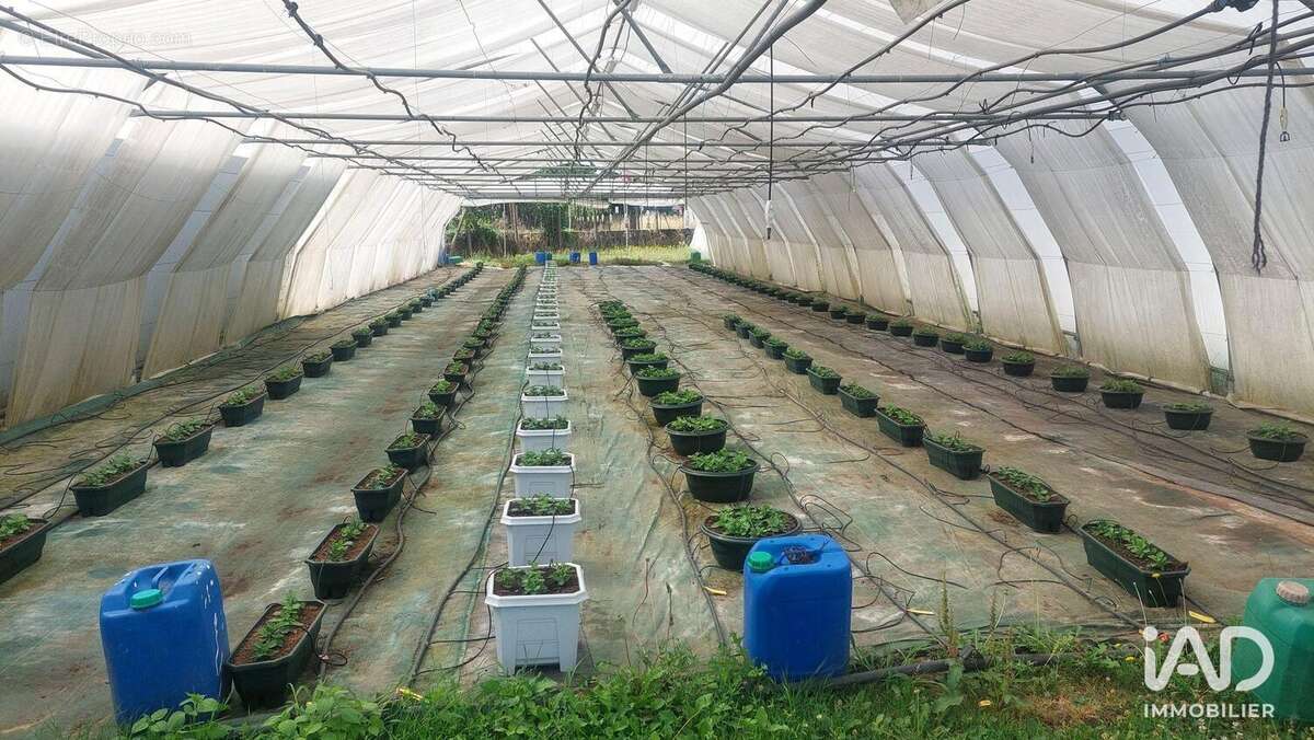 Photo 9 - Commerce à SAINT-MAGNE-DE-CASTILLON