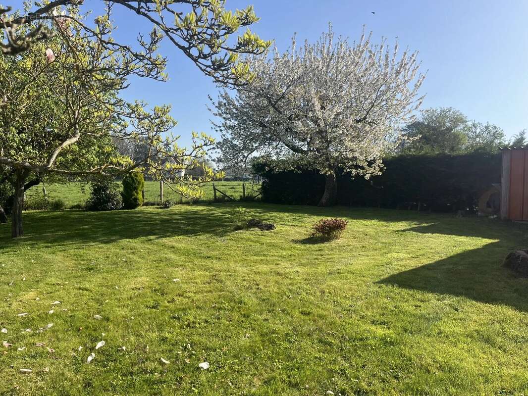 Maison à SAINT-GEORGES-SUR-BAULCHE