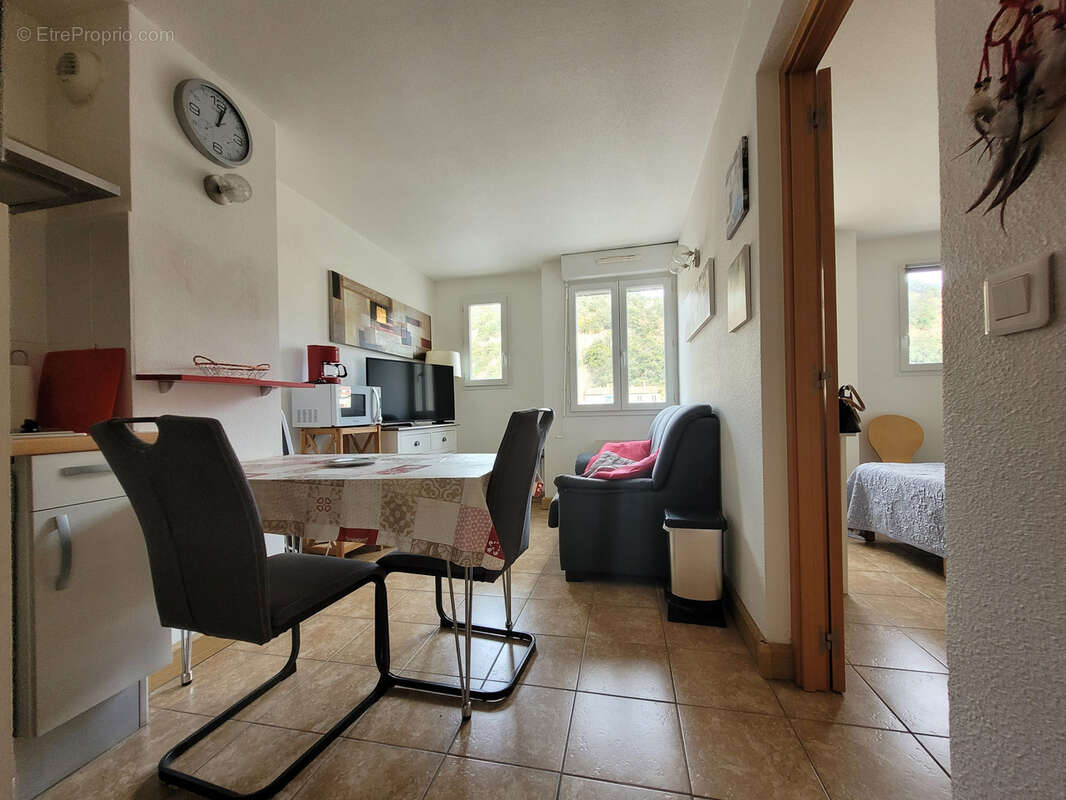 Appartement meublé et équipé dans le vallespir - photo 4