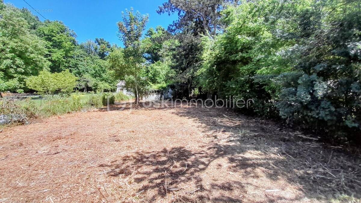 Terrain à CHAMPAGNE-SUR-SEINE