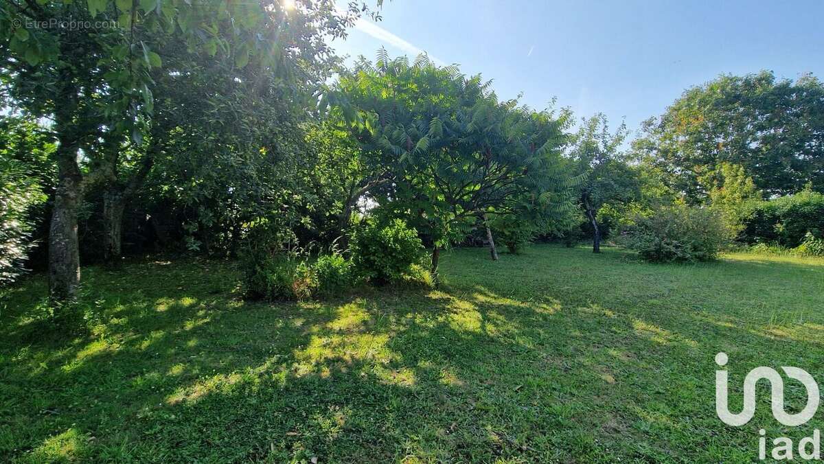 Photo 3 - Terrain à SARZEAU