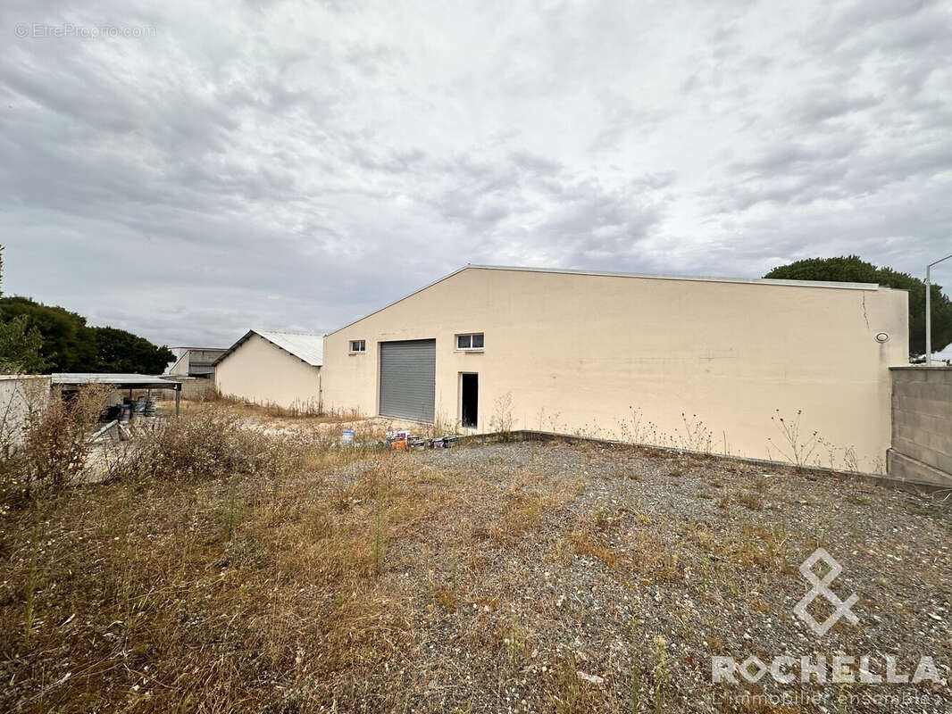 Commerce à SAINT-JEAN-D'ANGELY