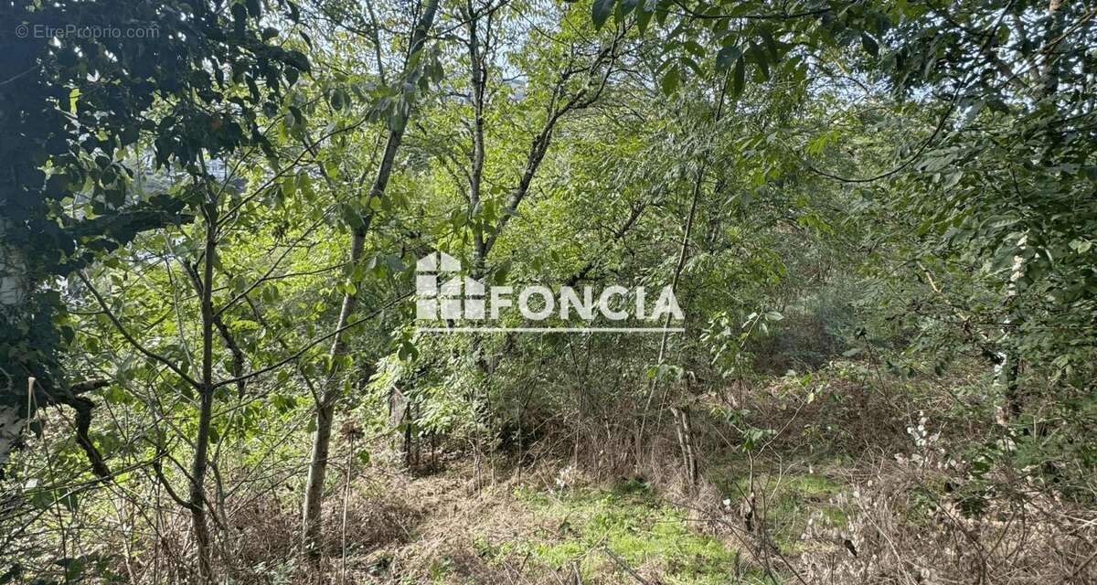 Terrain à LE MONASTERE