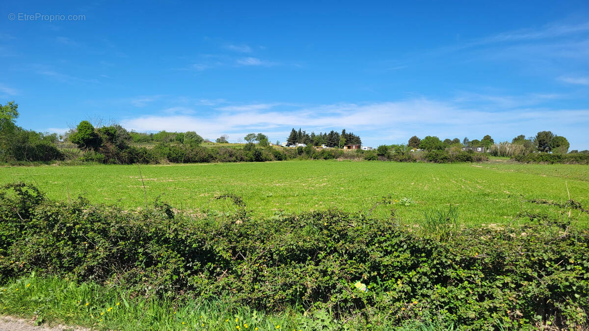 Terrain à PIGNAN