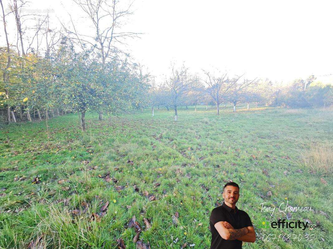 Terrain à SAINT-CALAIS
