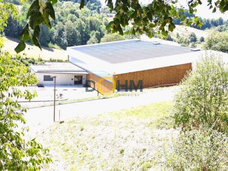 Centre bourg demeure familiale en pierre avec jardin clos - photo 19
