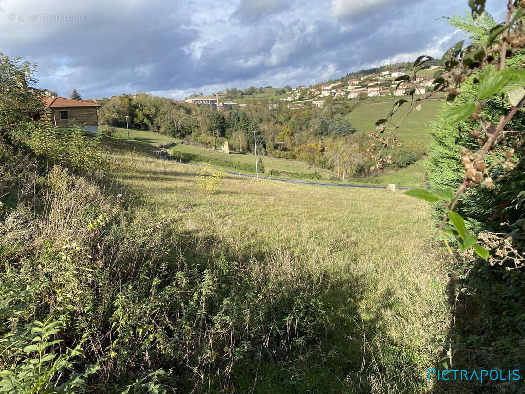 Terrain à AMPLEPUIS