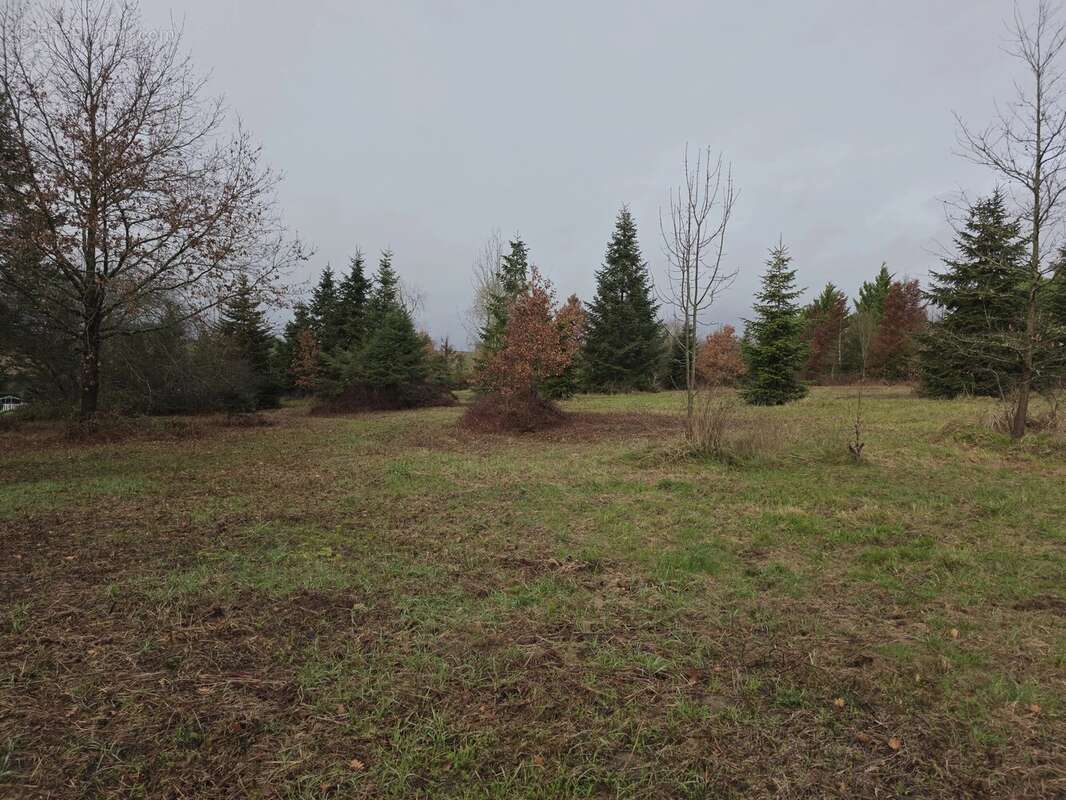 Grand terrain constructible avec certificat d’urbanisme, proche de Monségur - photo 5