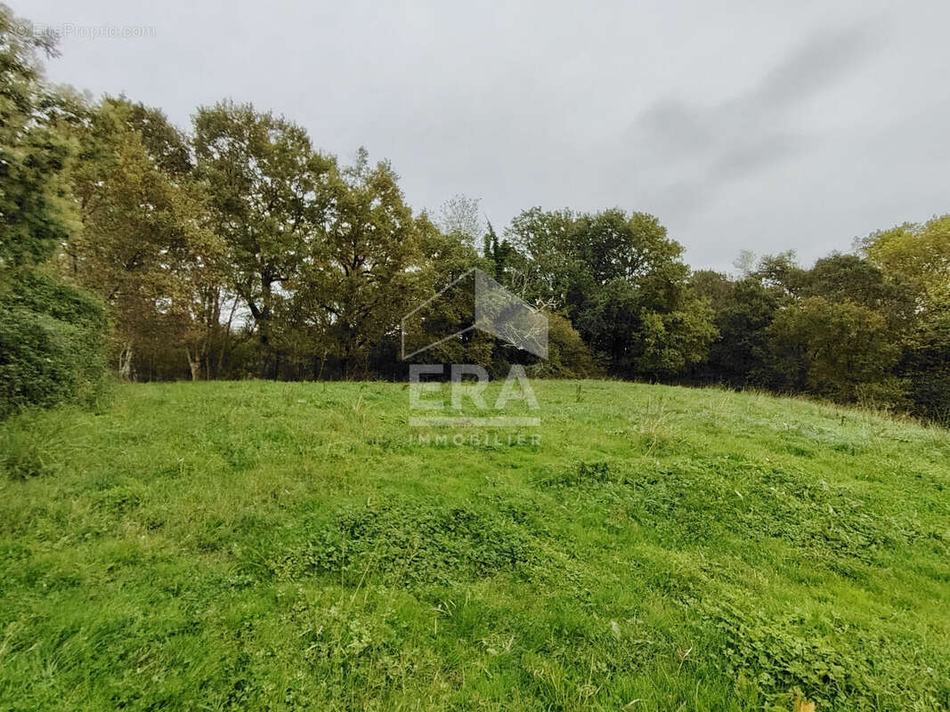 Terrain à SAINTE-MARIE-DE-GOSSE