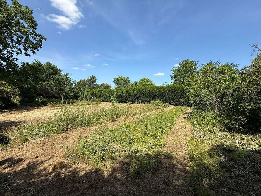 Maison à CHATEAU-THIERRY