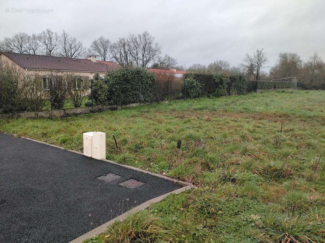 Terrain à LA MARNE