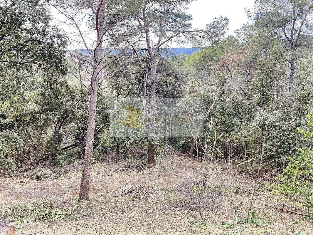 EXCLUSIVITÉ : Terrain d’Exception à Saint‑Paul‑de‑Vence (06) - photo 20