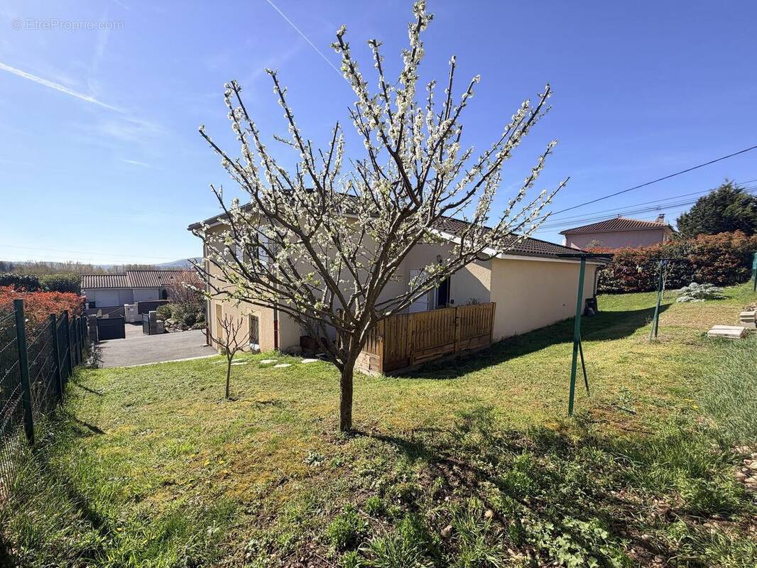 Photo 1 - Maison à MASSIEUX