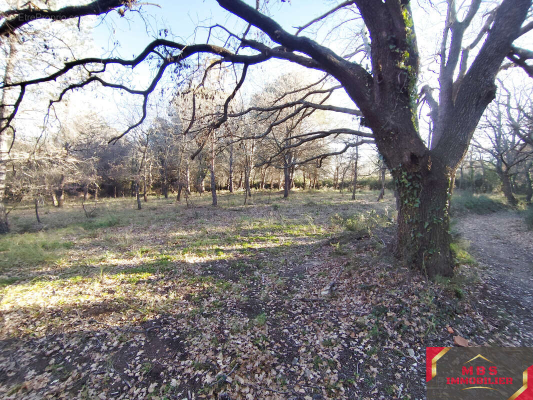 Terrain à ARGELES-SUR-MER