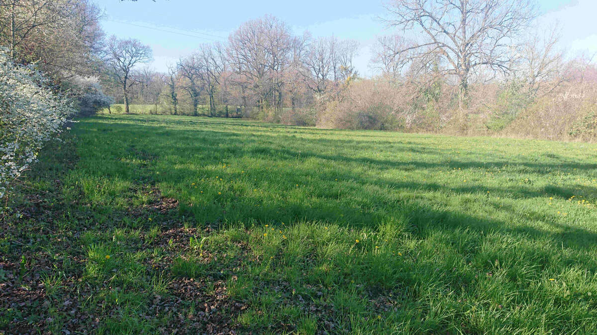 Terrain à PUYLAGARDE