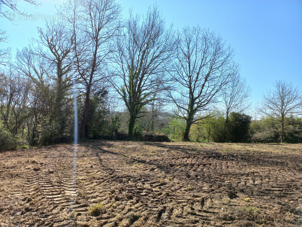 Terrain à TRIE-SUR-BAISE