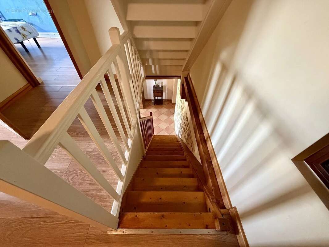 Grand ensemble, entièrement isolé avec 1,4 hectare à vendre près de Remilly - photo 18