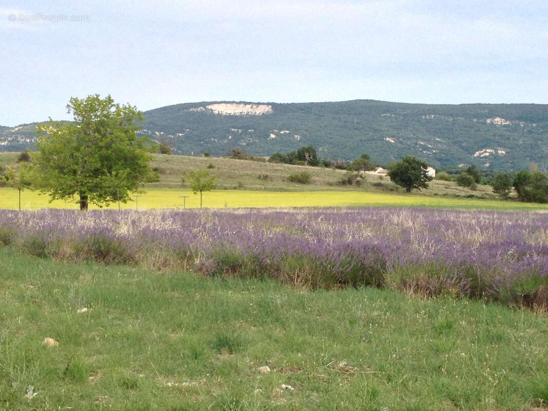 Maison à FORCALQUIER