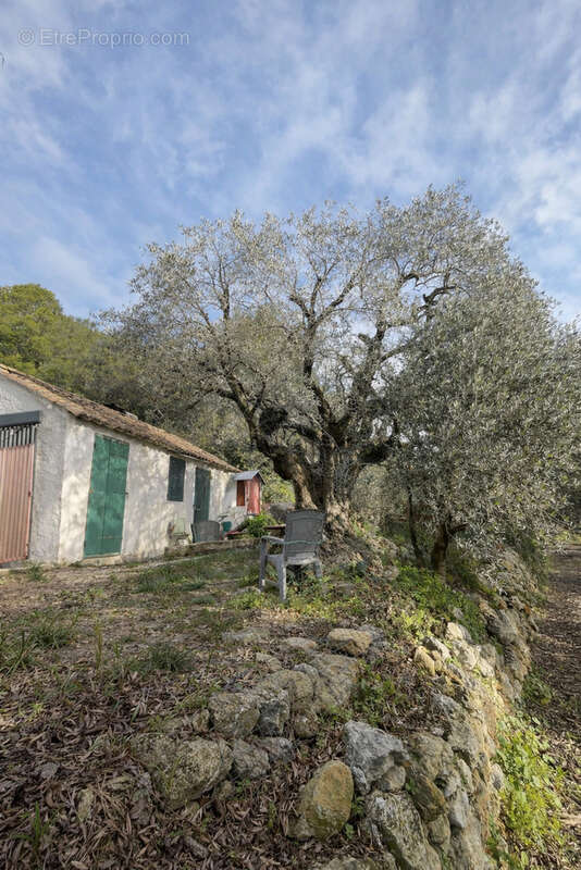 Terrain à LE CASTELLET