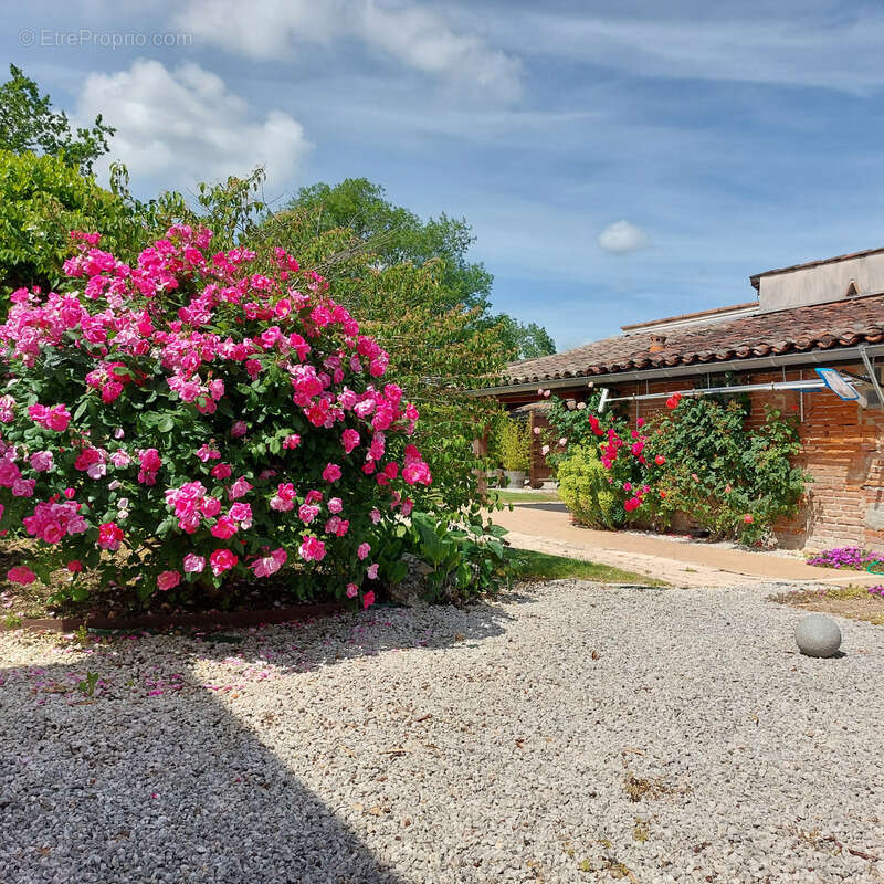 Maison à vendre 13 pièces MONTAUBAN (82), salle de reception, parking, bureaux, cave, dépendances,  parc de 8000m2, 2 entrées in - photo 84