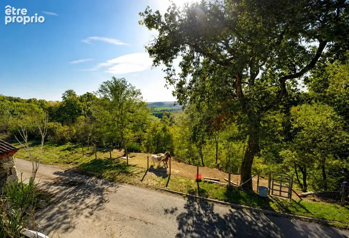 Maison de 8 pièces de 337 m² à La Sauvetat-de-Savères - photo 29