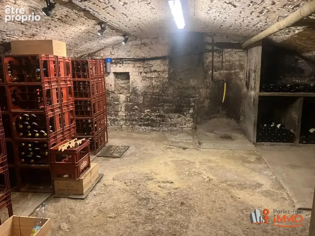 Propriété idéale pour une activité professionnelle - photo 13