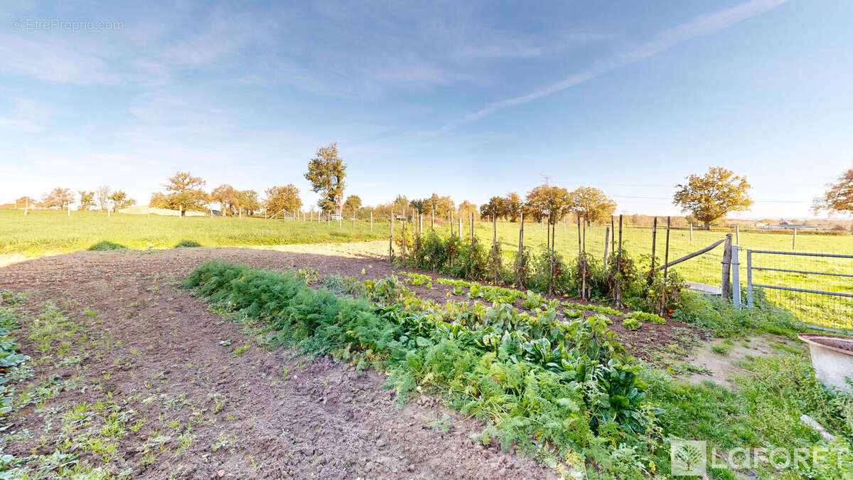 Maison à CRESSANGES
