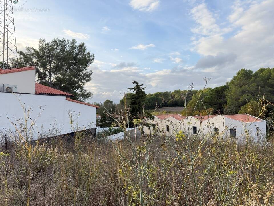 Terrain à SAINT-AUNES