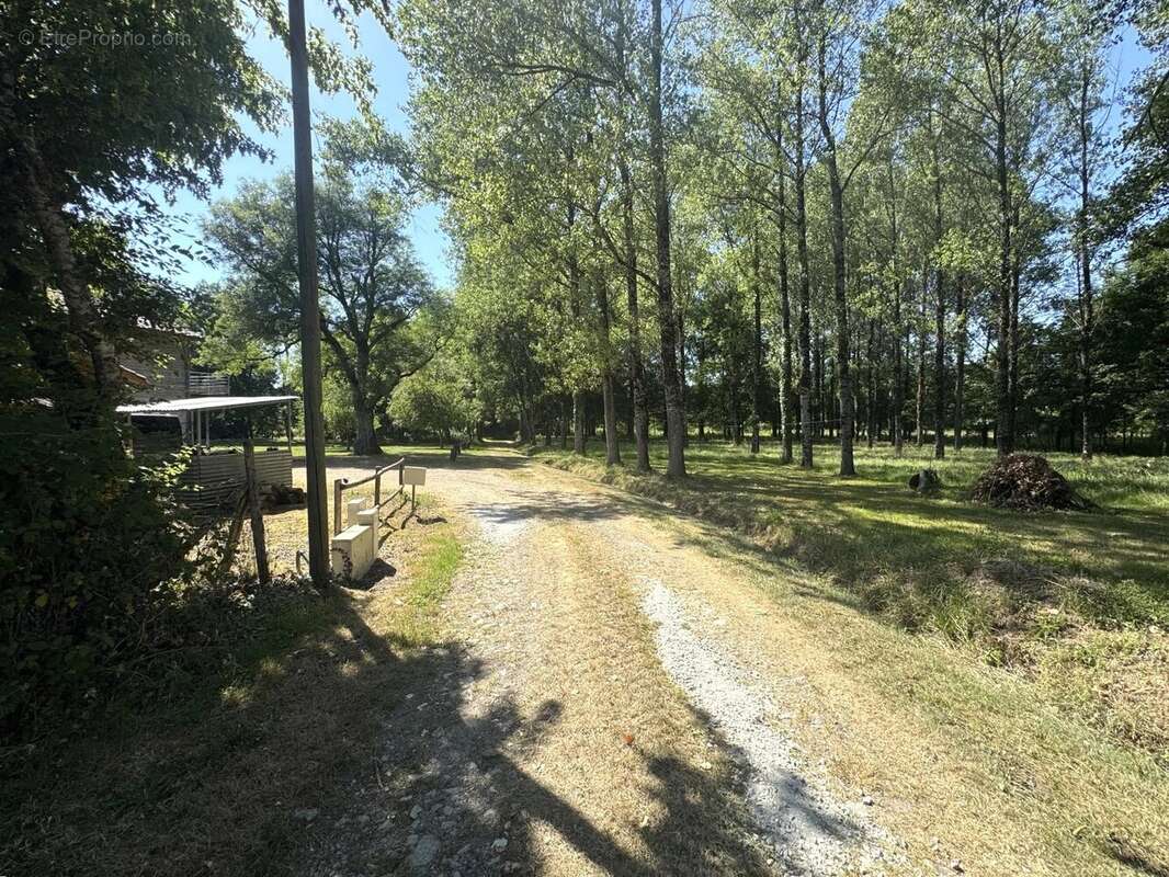 Propriété de caractère, indépendante, avec de vastes jardins privés et un bois - photo 15