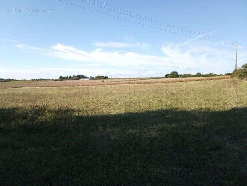 Photo 3 - Terrain à CONSAC