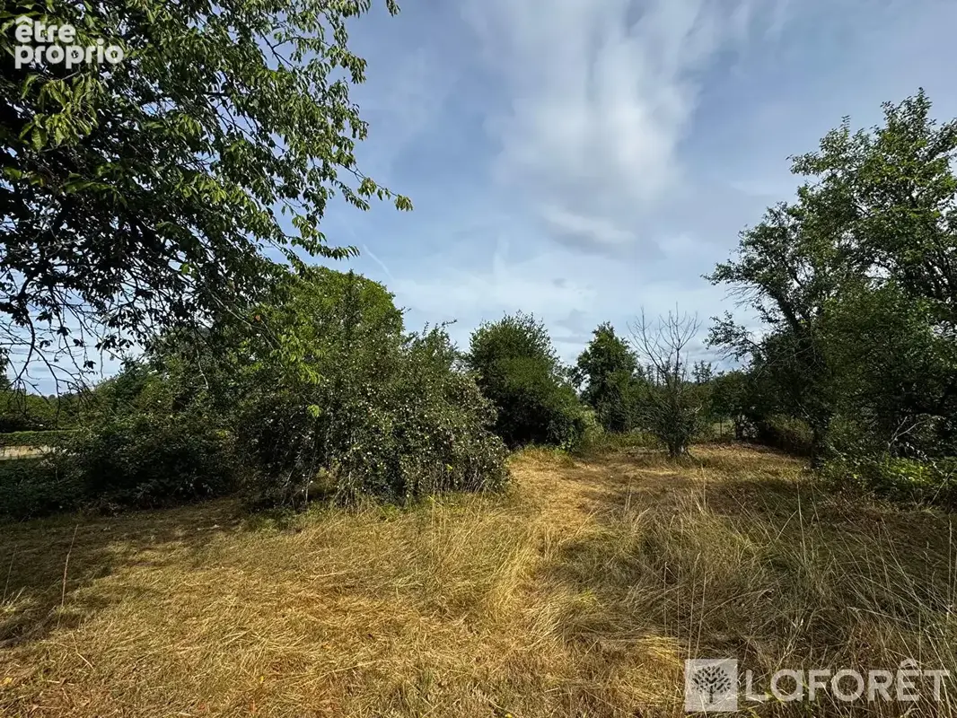 Terrain Zillisheim 1172 m2 - photo 7