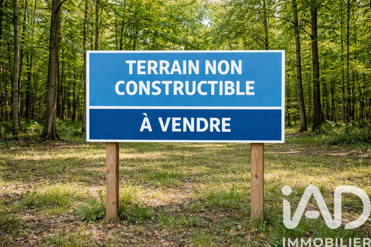 Photo 1 - Terrain à LARUSCADE