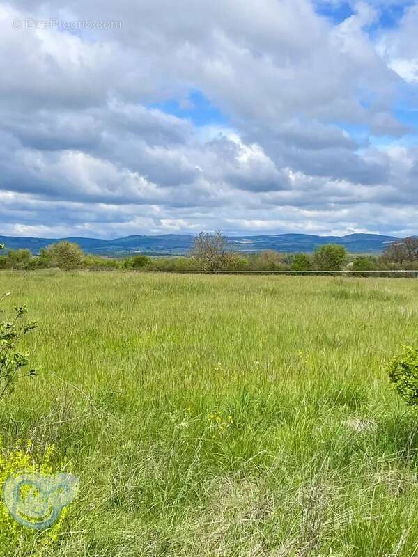 Terrain à SAINT-CHRISTOL