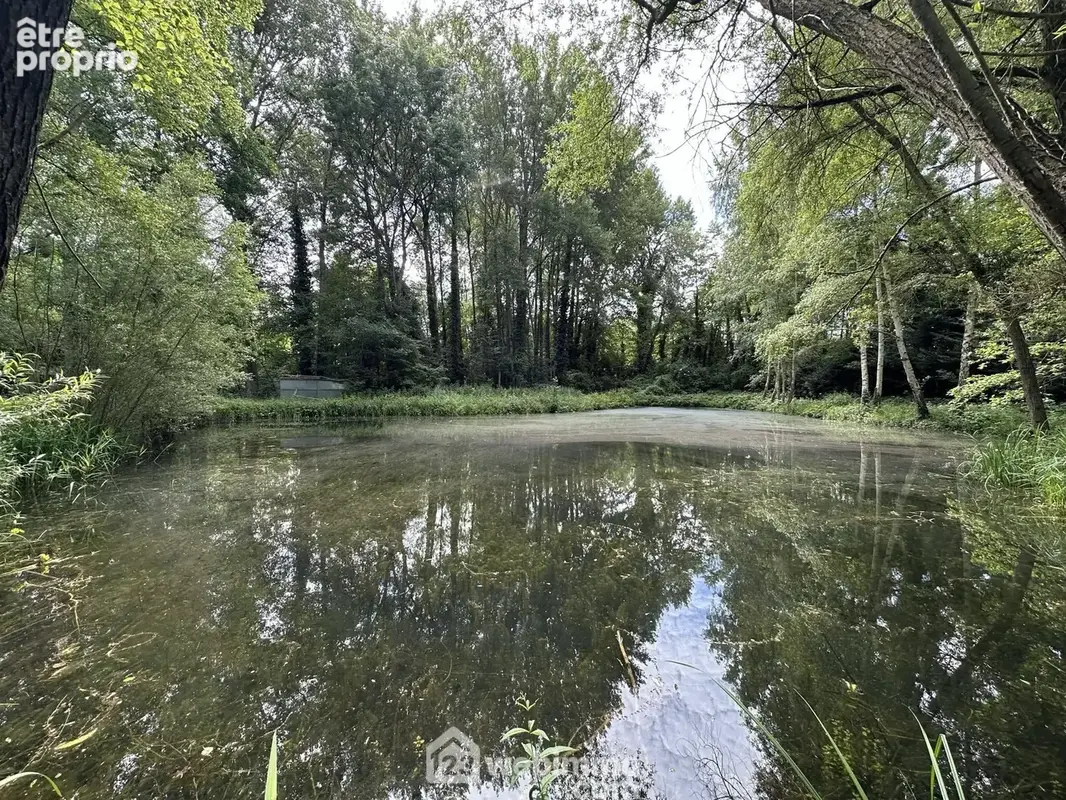 Avec une jolie vue