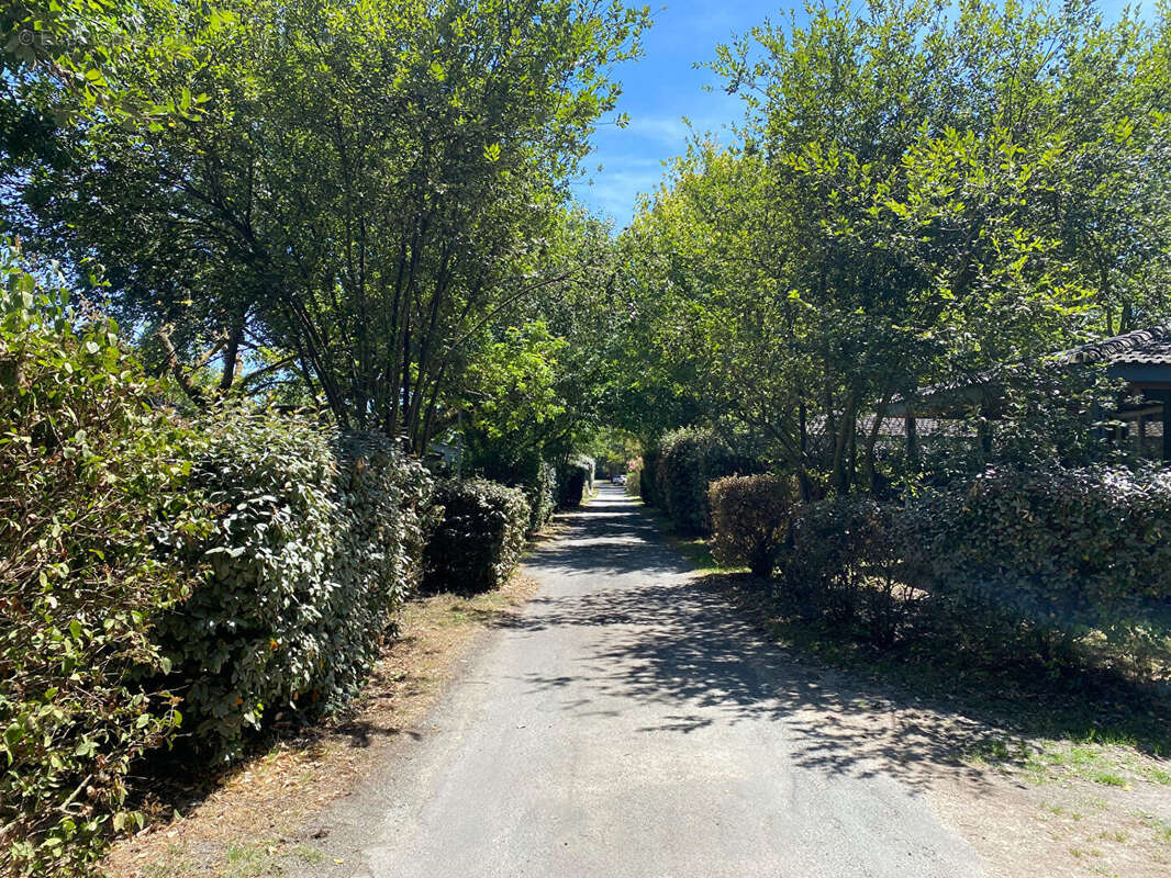 SAINT DENIS - Chalet n°15 - 2 chambres - 32,69 m² - proche plage - photo 12