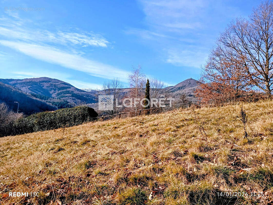 Terrain à PRATS-DE-MOLLO-LA-PRESTE