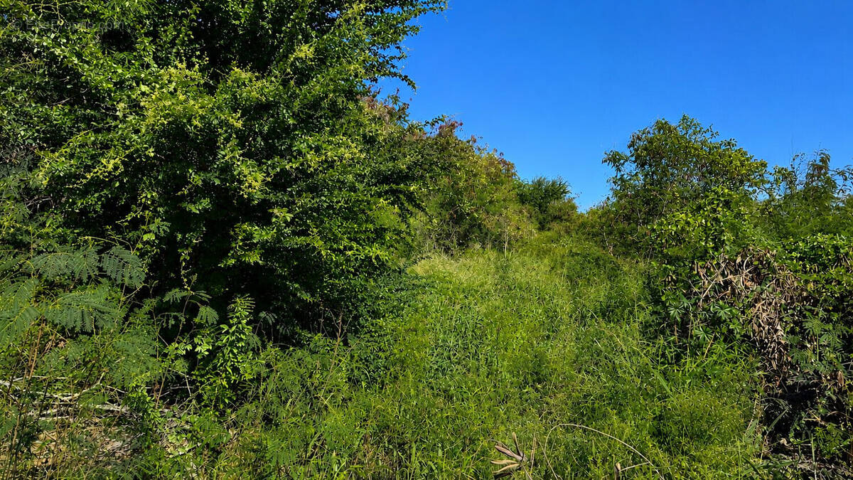 Terrain à L'ETANG-SALE