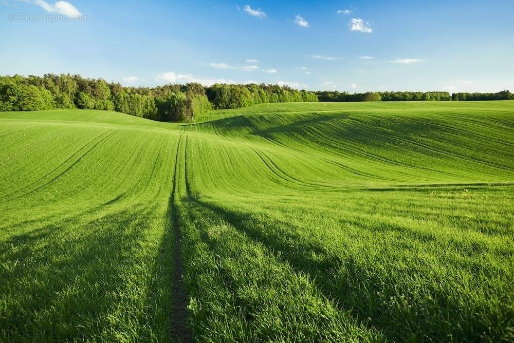 Terrain à BELLEVILLE-SUR-VIE