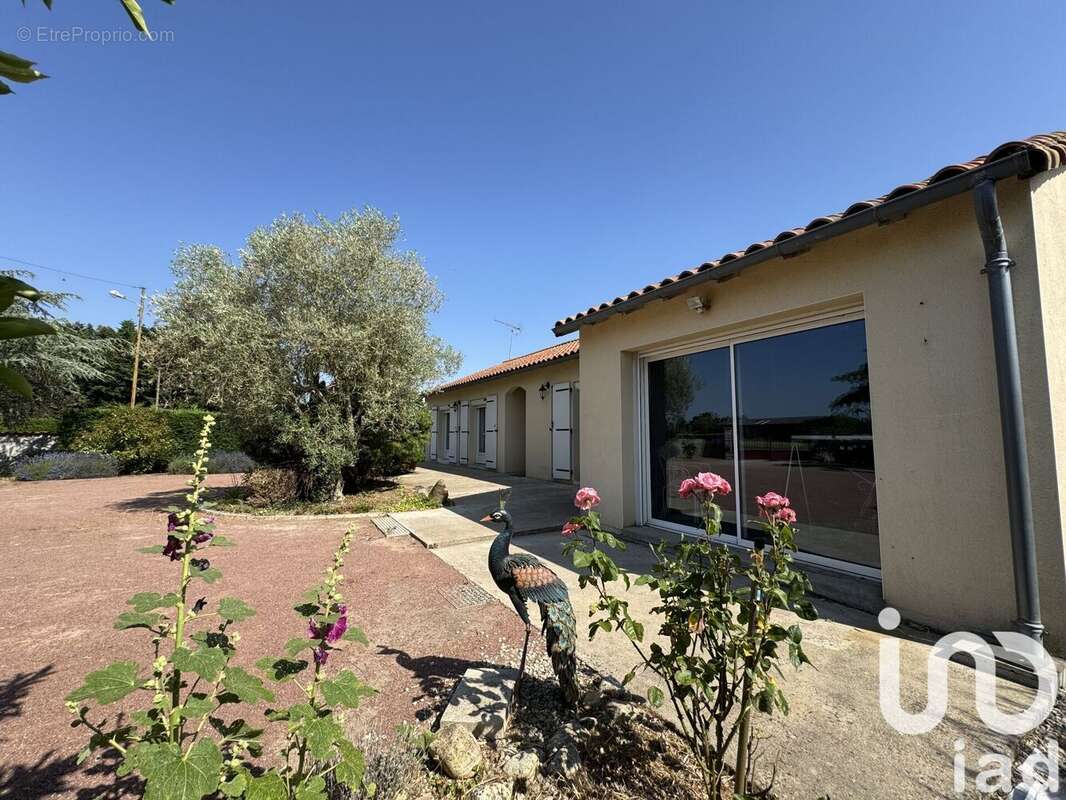 Photo 3 - Maison à MIREBEAU