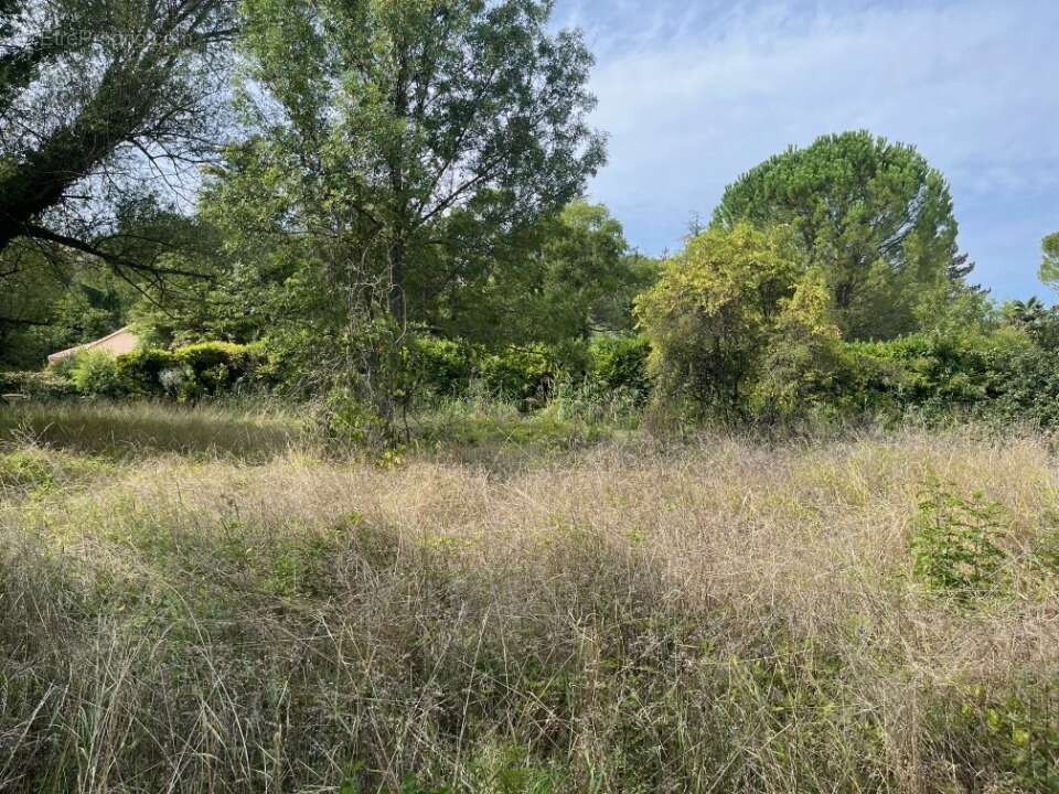 Terrain à AOUSTE-SUR-SYE