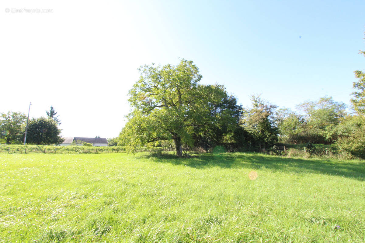 Terrain à LA CHARITE-SUR-LOIRE