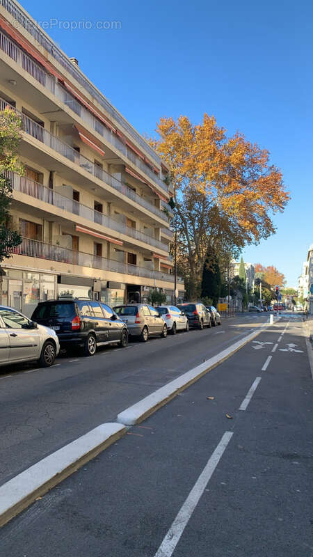 Commerce à AVIGNON